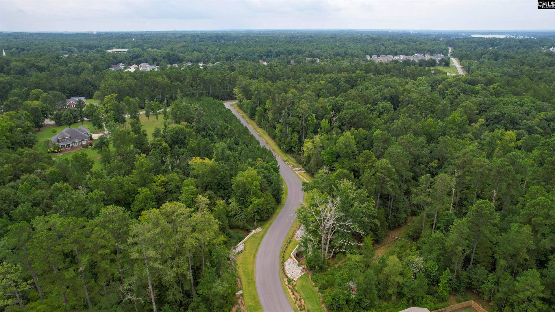 295 Chesapeake Drive, Chapin, SC 29036