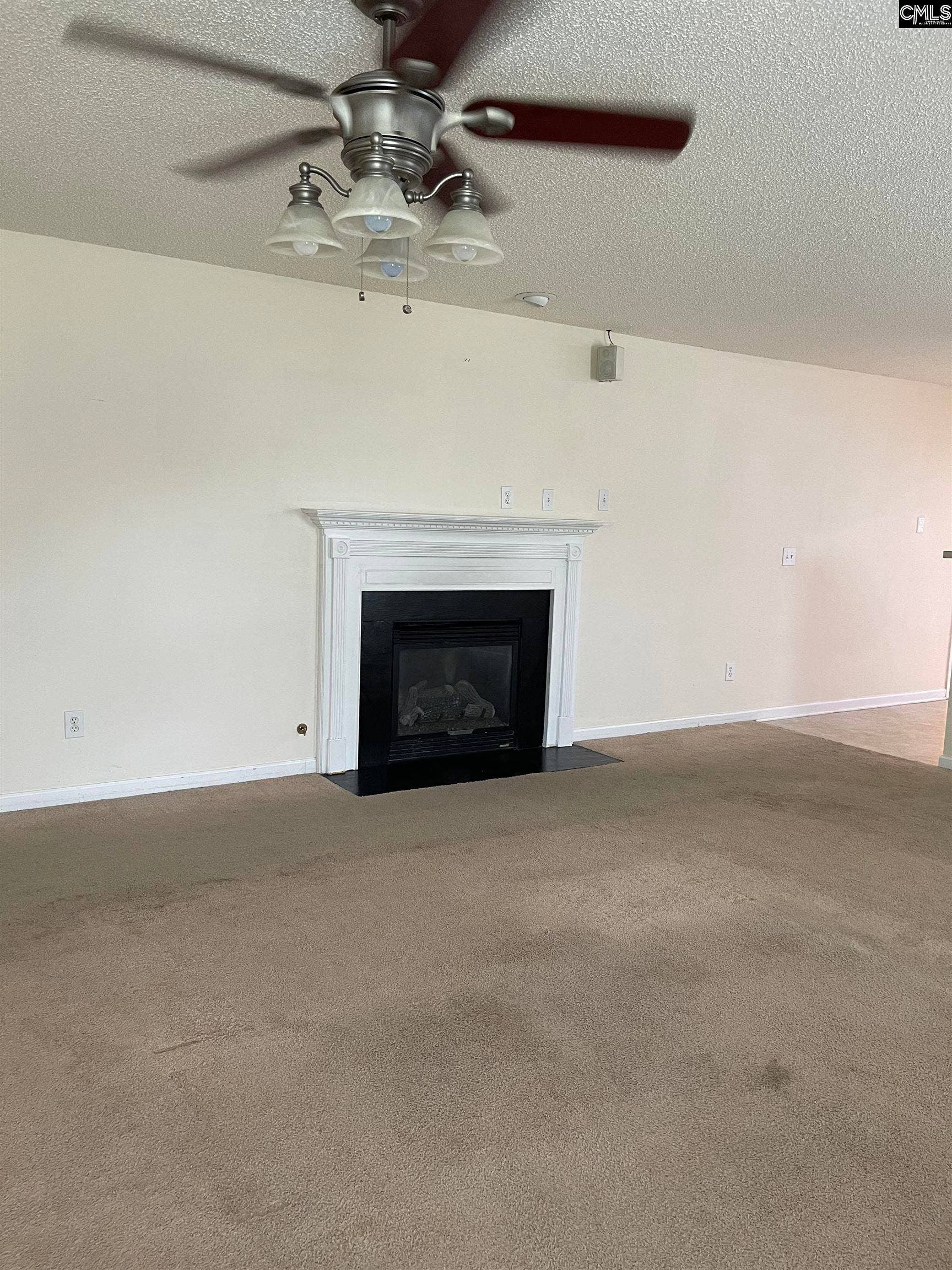 255 Timbermill Drive, Lexington, SC 29073