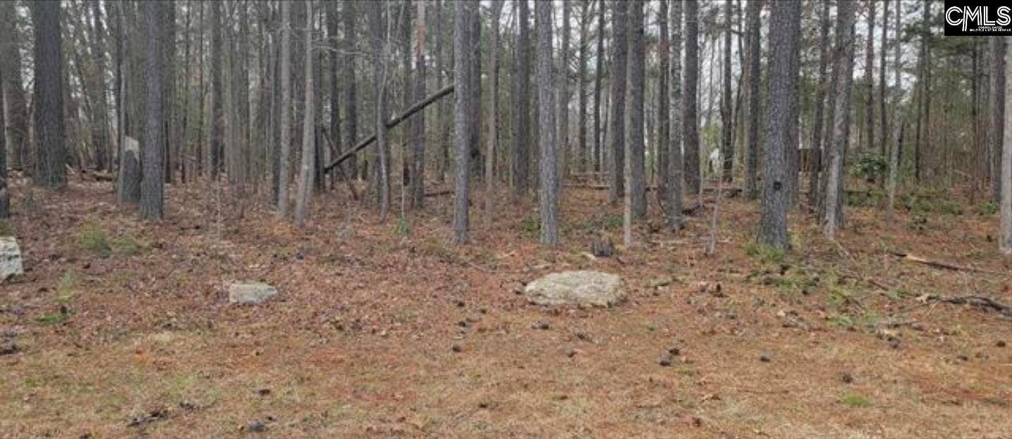 2458 Chapin Road, Chapin, SC 29036