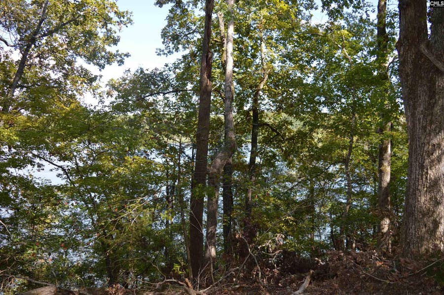 Property photo for lot 25 Wateree Key Court, Winnsboro, SC