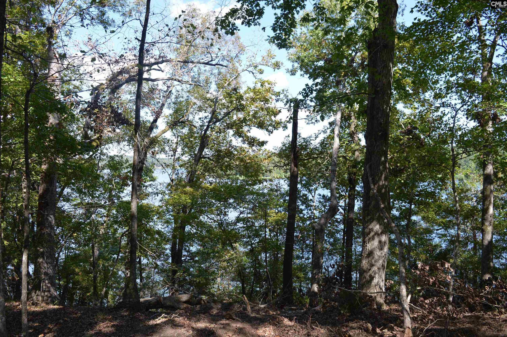 lot 25 Wateree Key Court, Winnsboro, SC 29180