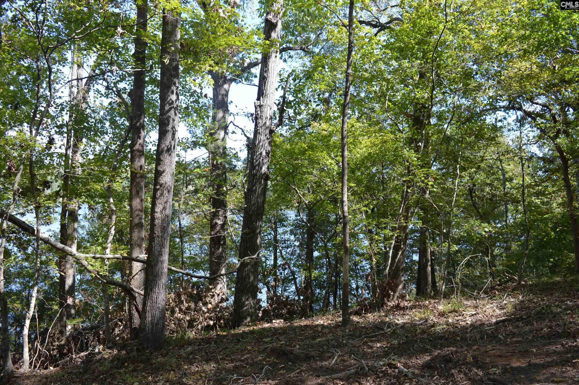 lot 25 Wateree Key Court, Winnsboro, SC 29180