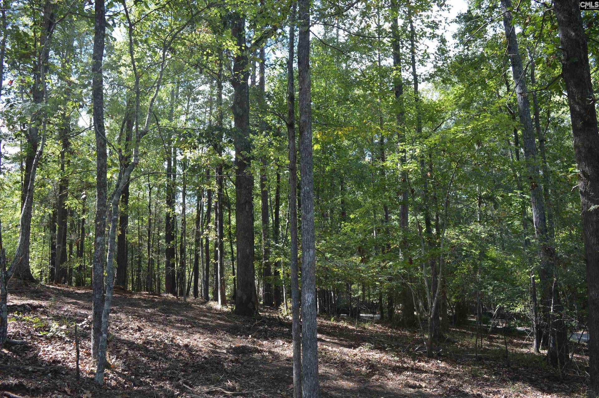 lot 25 Wateree Key Court, Winnsboro, SC 29180