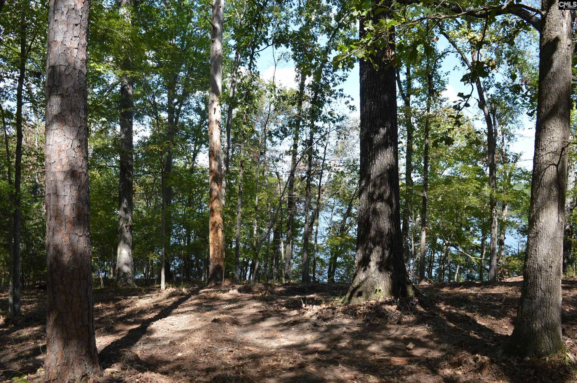 lot 25 Wateree Key Court, Winnsboro, SC 29180