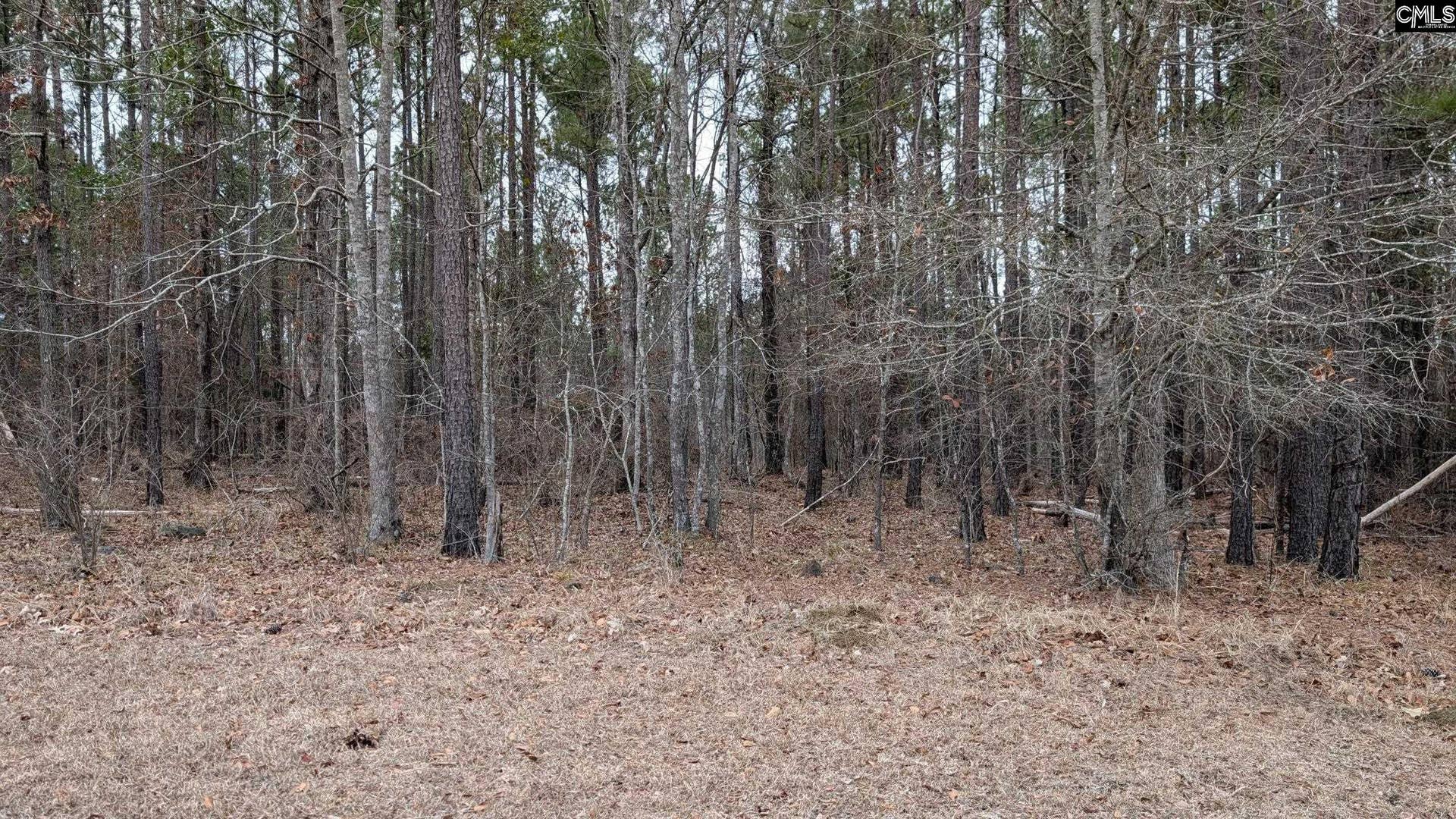 Lot 3 Retreat Way, Ridgeway, SC 29130-0000