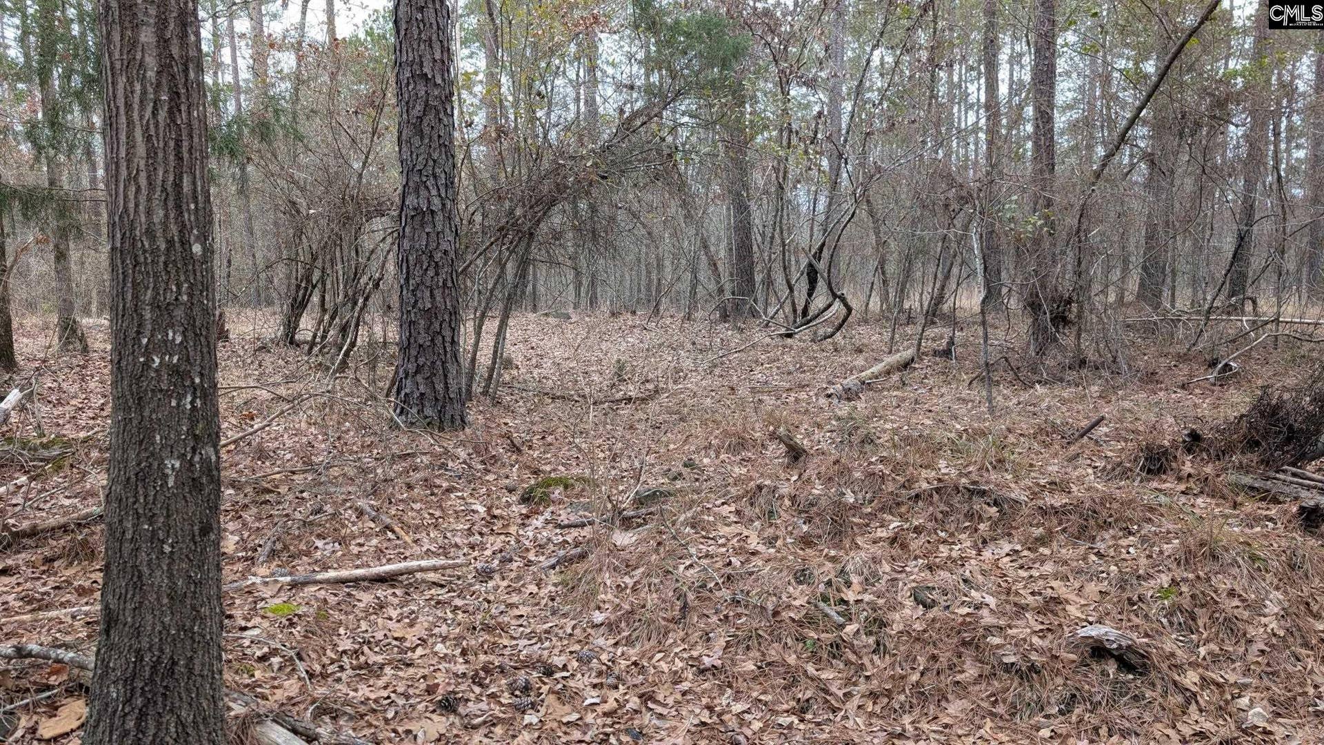 Lot 3 Retreat Way, Ridgeway, SC 29130-0000