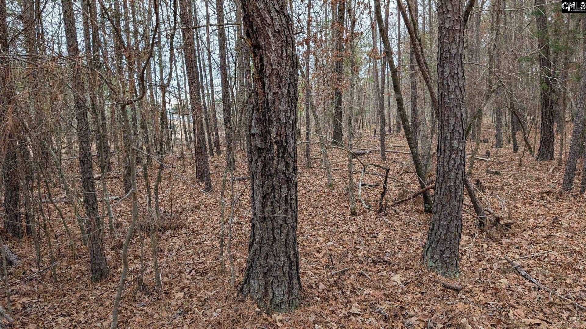 Lot 3 Retreat Way, Ridgeway, SC 29130-0000