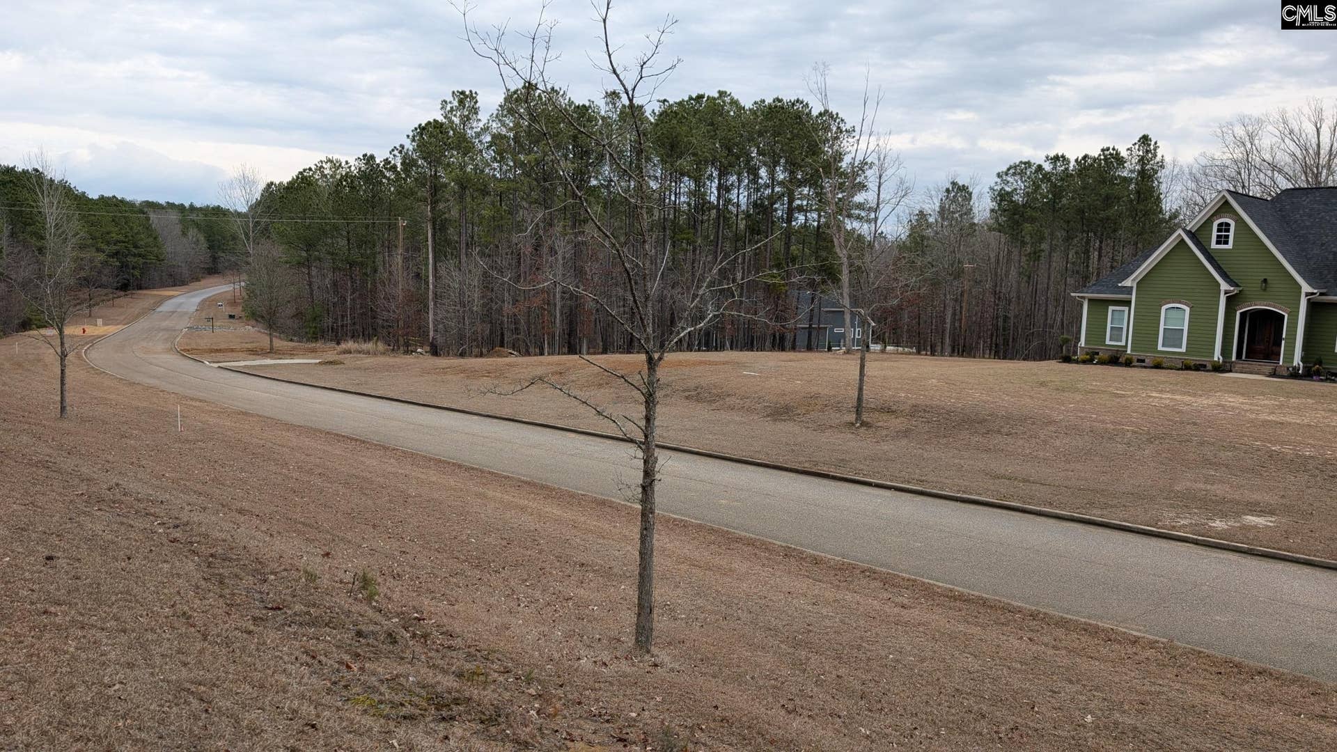 Lot 3 Retreat Way, Ridgeway, SC 29130-0000