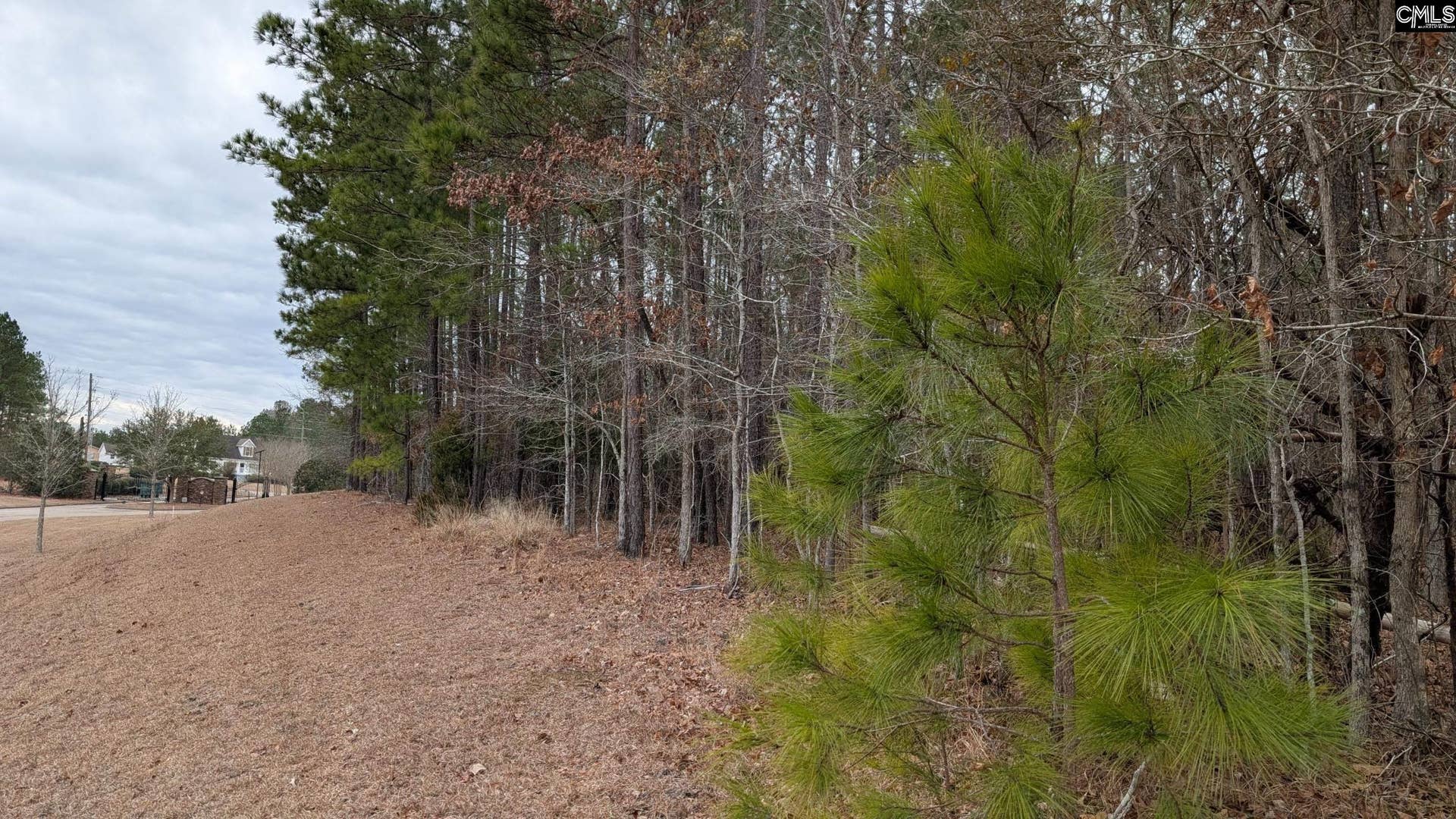 Lot 3 Retreat Way, Ridgeway, SC 29130-0000