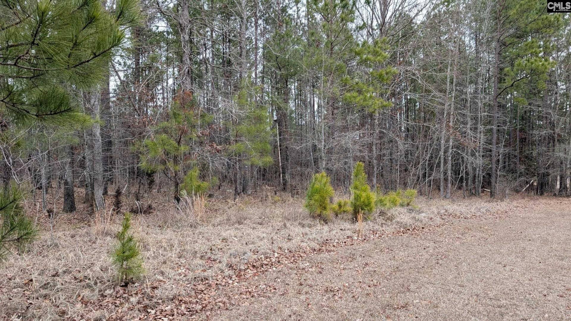 Lot 3 Retreat Way, Ridgeway, SC 29130-0000