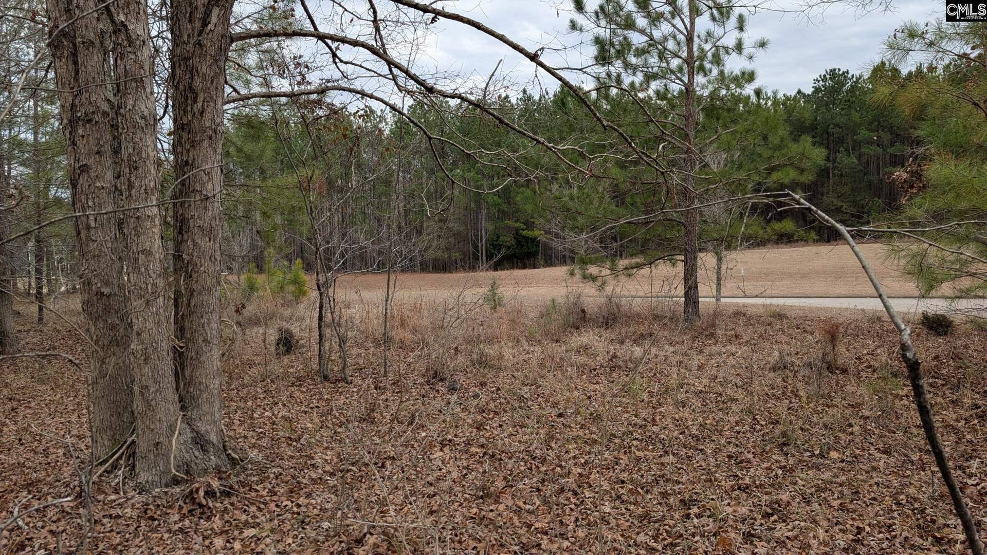 Lot 3 Retreat Way, Ridgeway, SC 29130-0000
