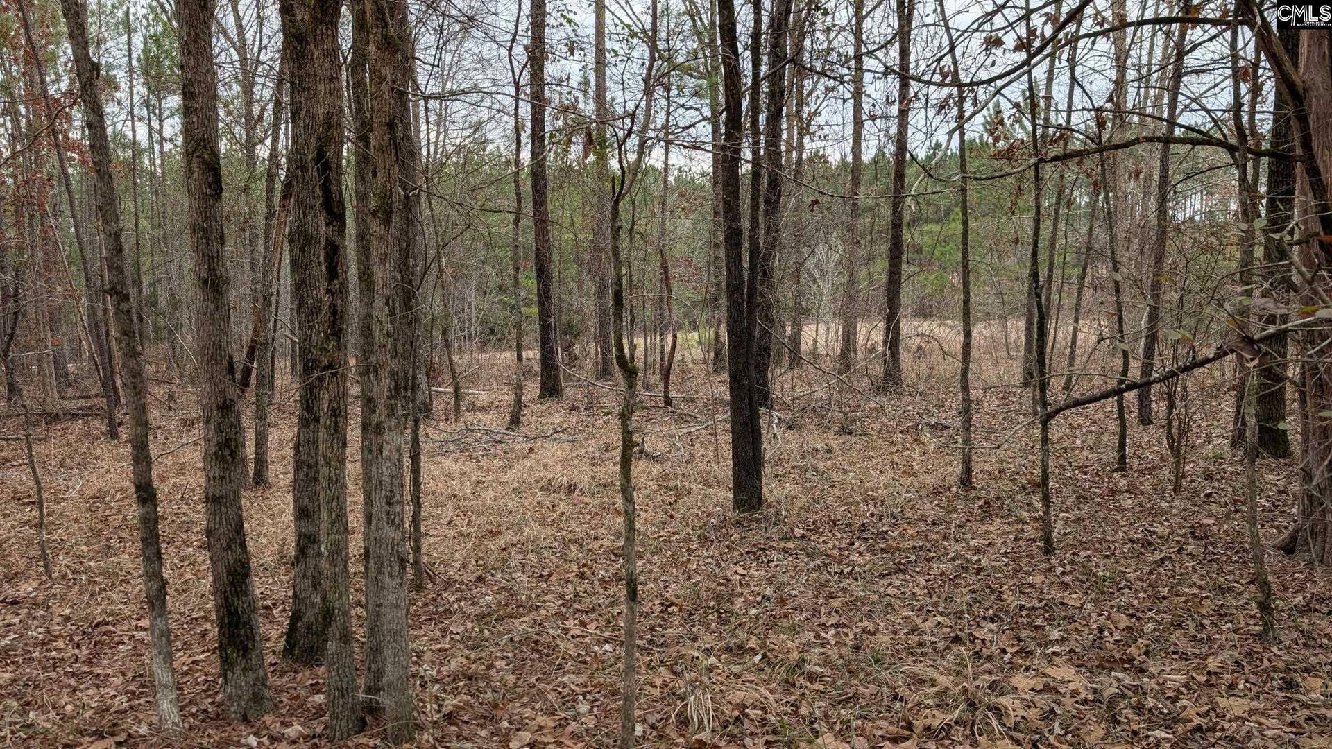 Lot 3 Retreat Way, Ridgeway, SC 29130-0000