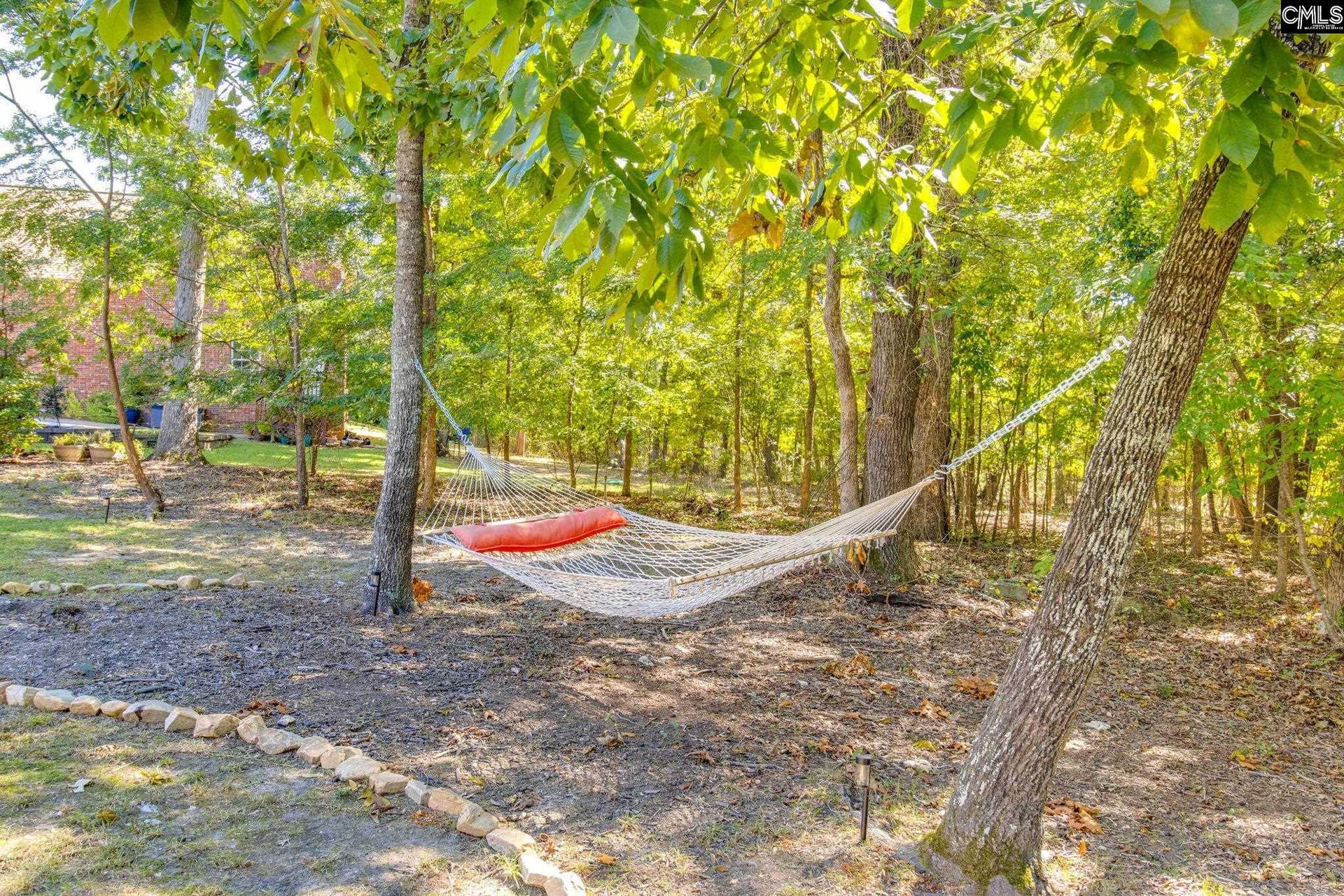 437 Caro Lane, Chapin, SC 29036