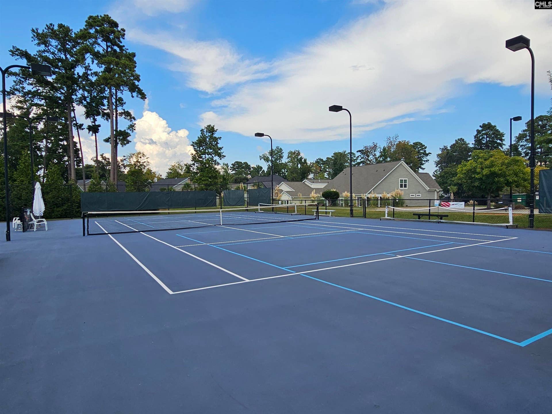 227 Fairway Ridge Drive, Chapin, SC 29036