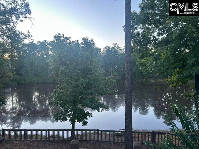 326 Dungannon Drive, Lexington, SC 29072