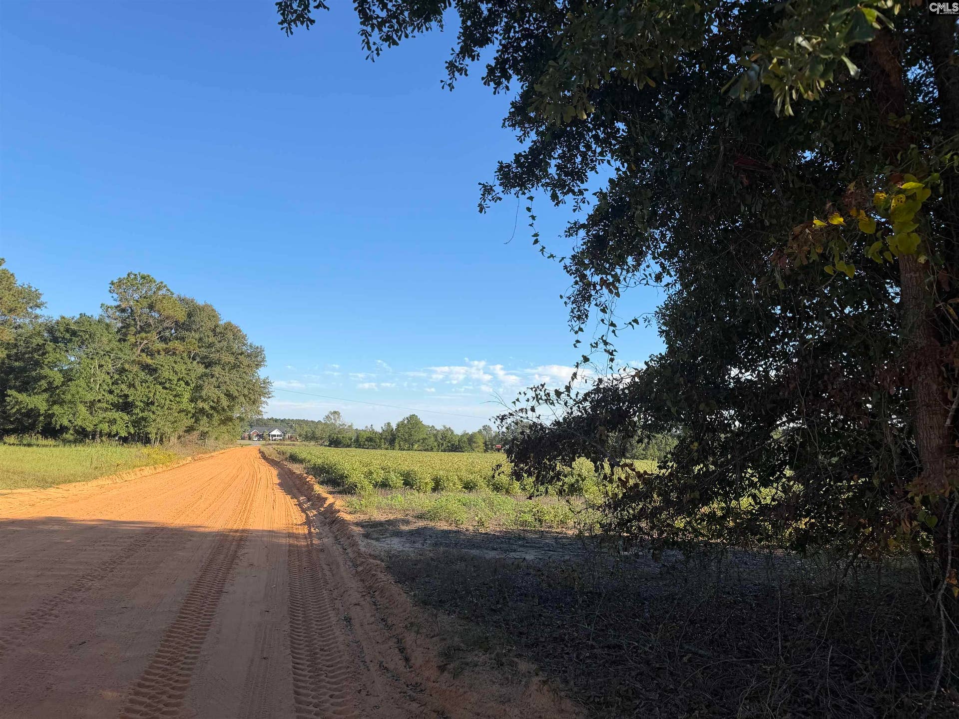 754 Athens School Road, Swansea, SC 29160-8762