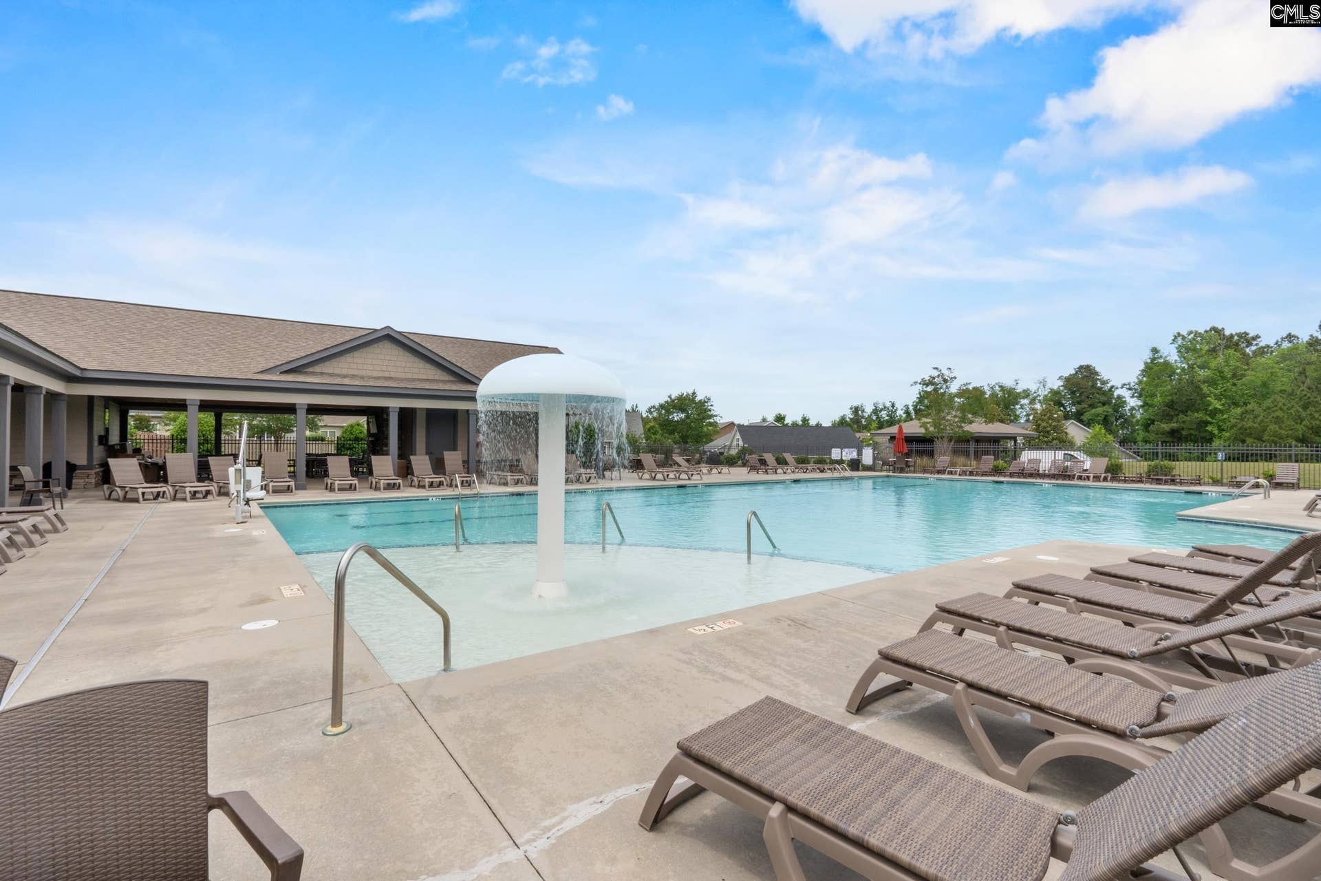 482 Malachite Lane, Chapin, SC 29036