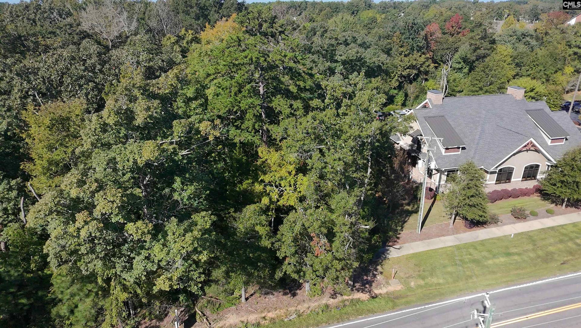 509 Lexington Avenue, Chapin, SC 29036