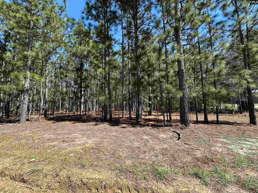 Property photo for 223 Mimosa Drive, Gaston, SC