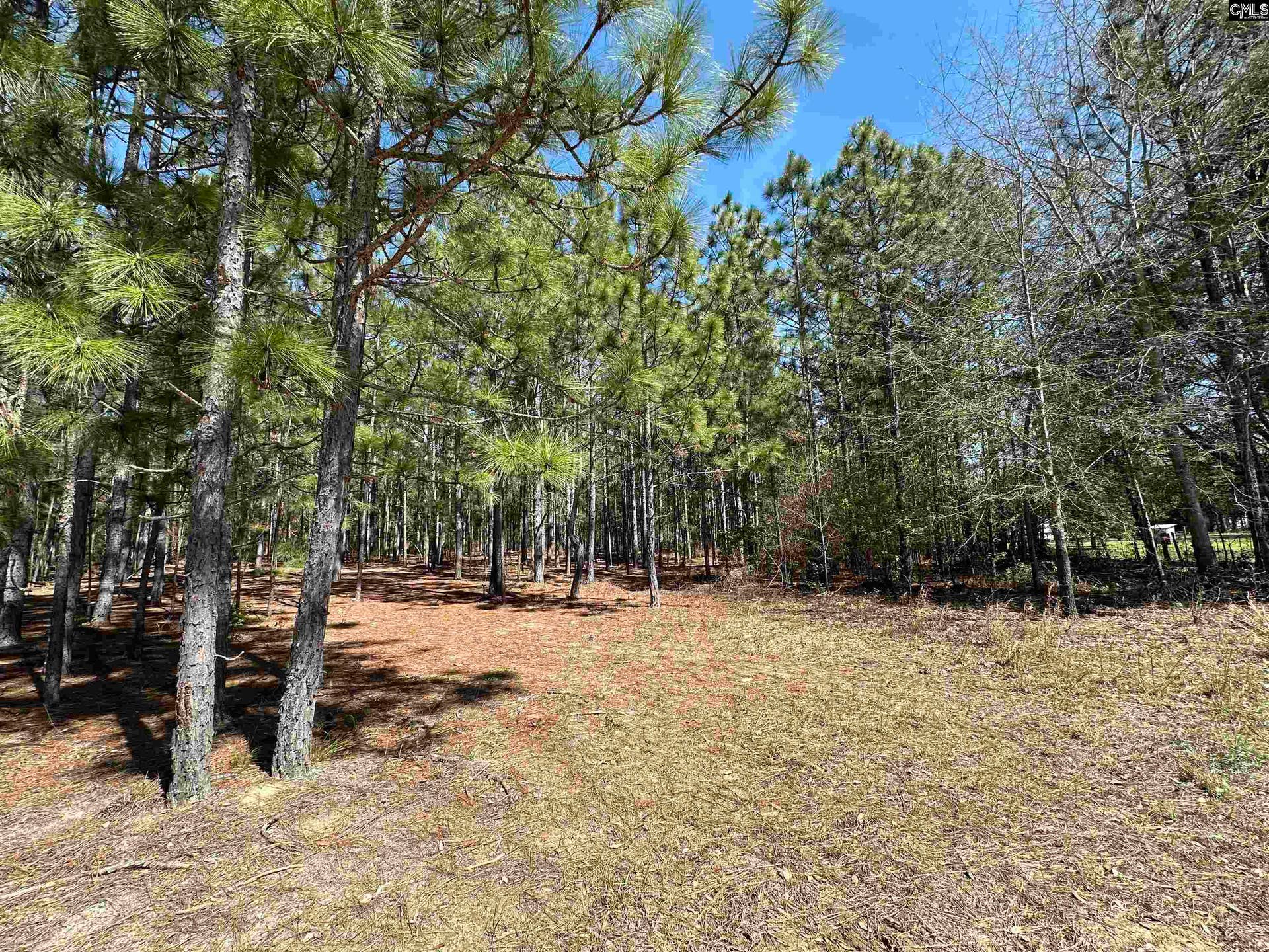223 Mimosa Drive, Gaston, SC 29053