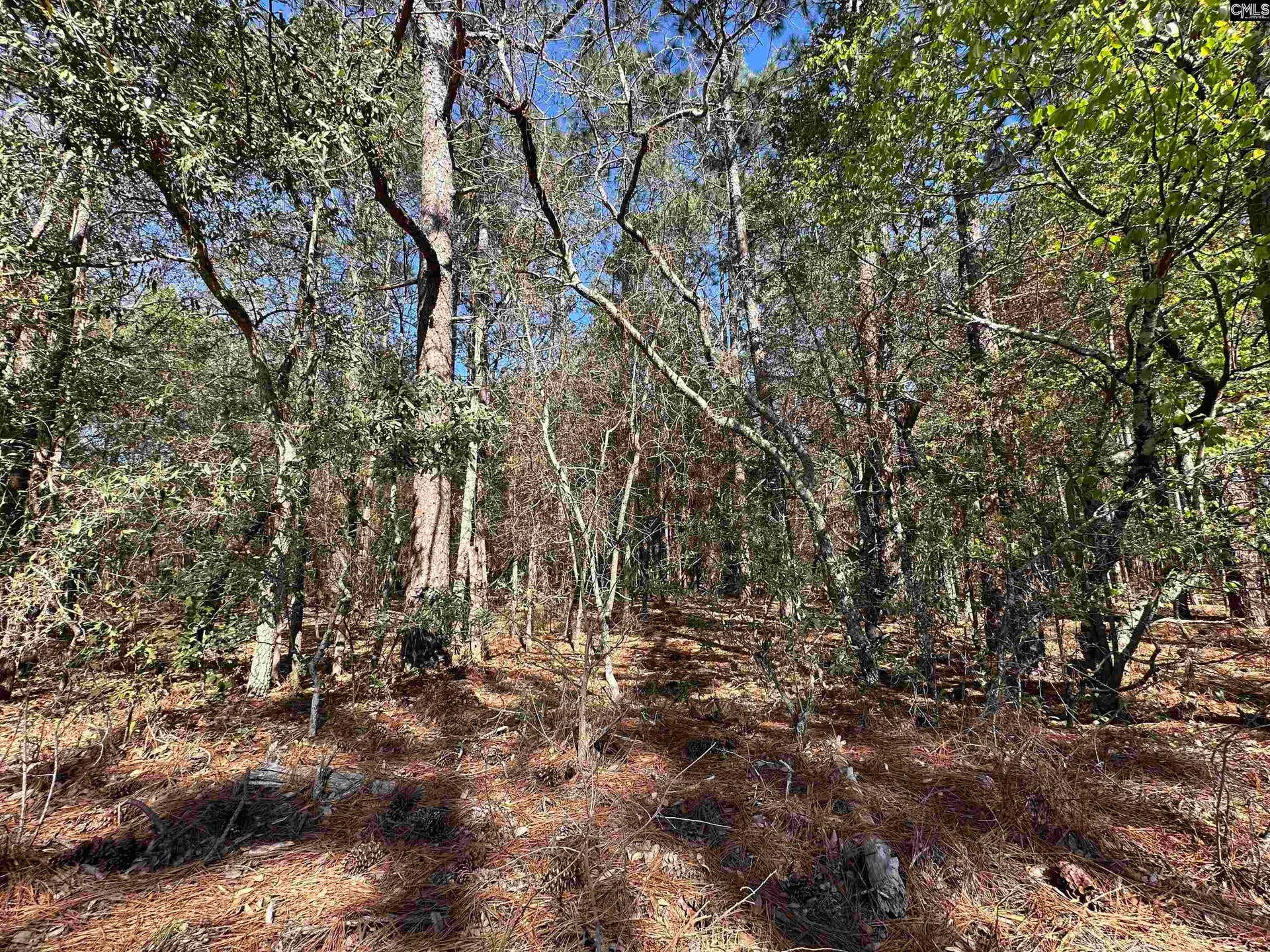 223 Mimosa Drive, Gaston, SC 29053