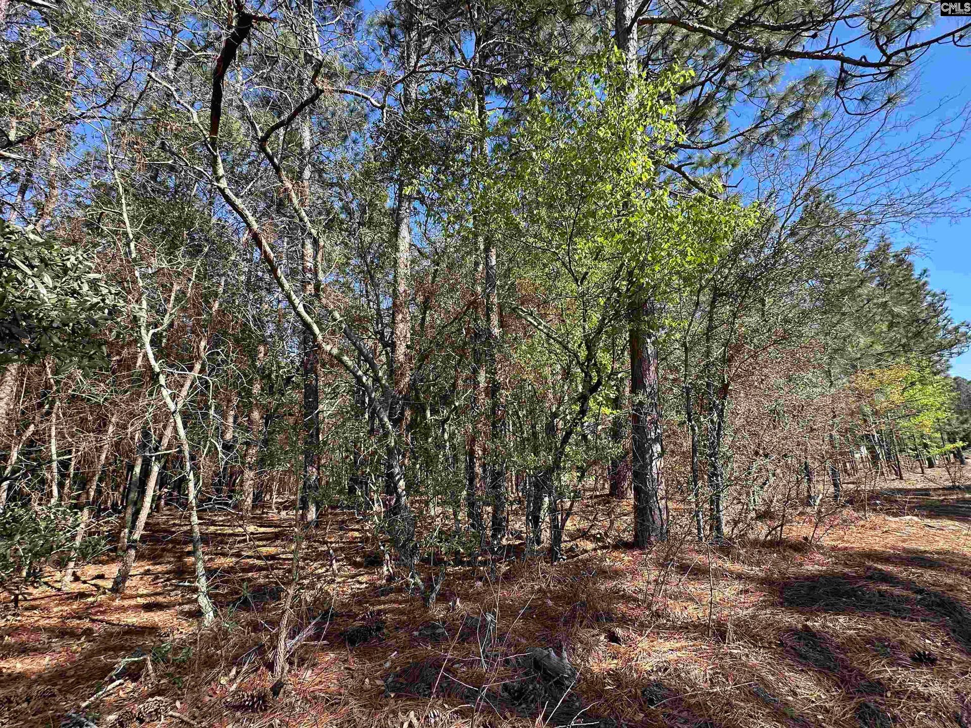 Lot 5 Mimosa Drive, Gaston, SC 29053