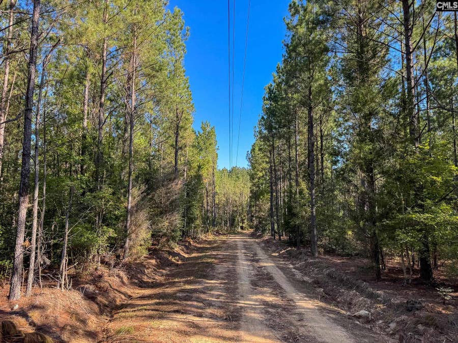 Property photo for 0 Lila Drive, Batesburg, SC