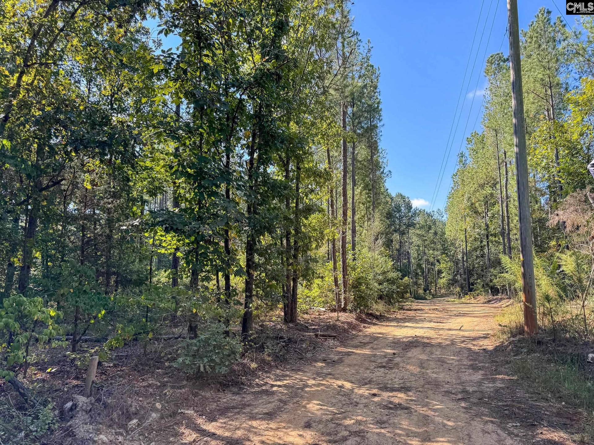 0 Lila Drive, Batesburg, SC 29006