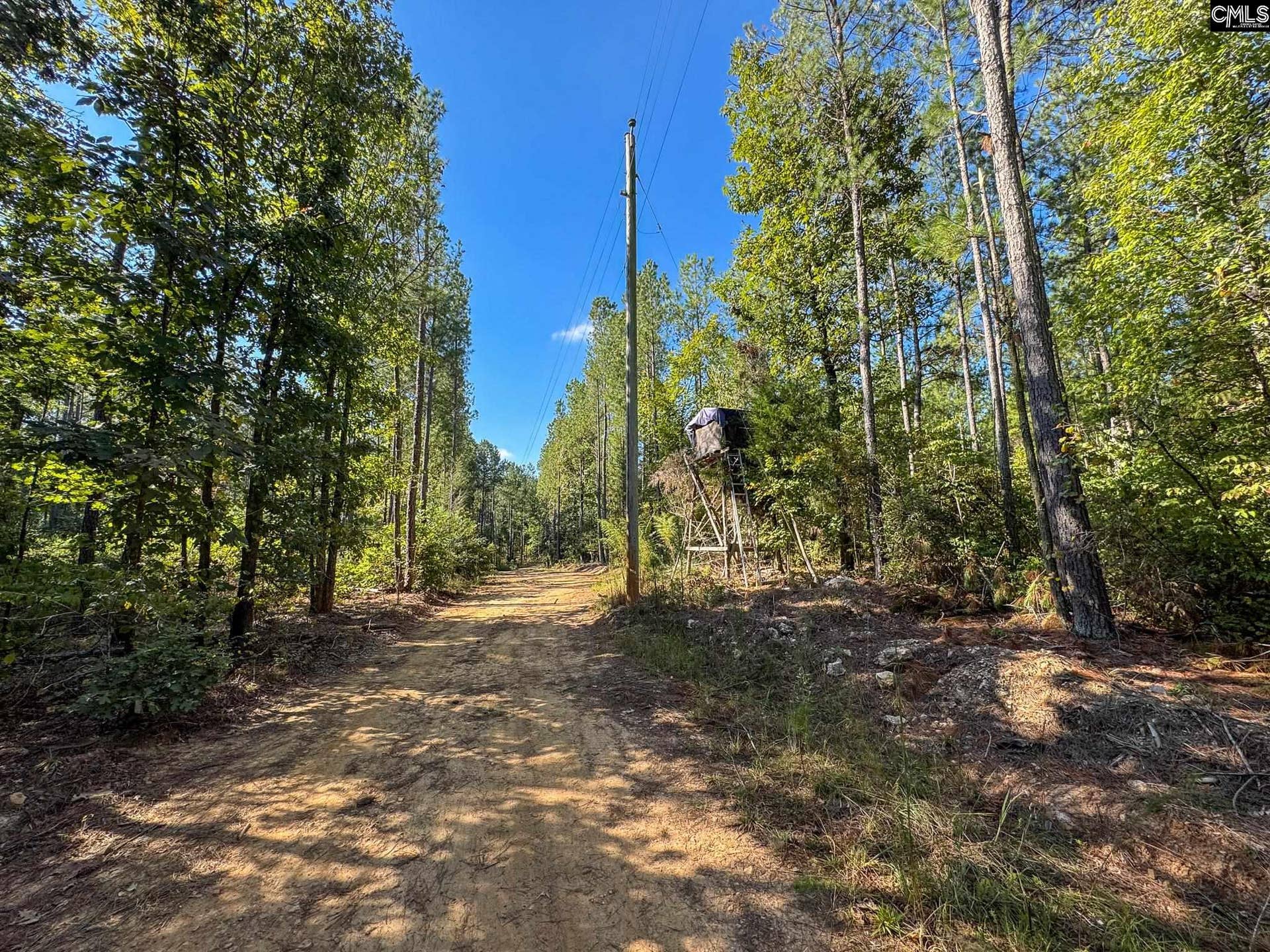 0 Lila Drive, Batesburg, SC 29006