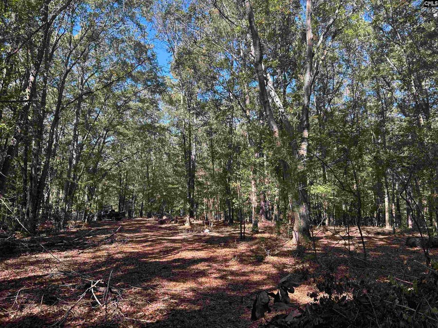 Property photo for 0 Swamp Rabbit Rd, Leesville, SC