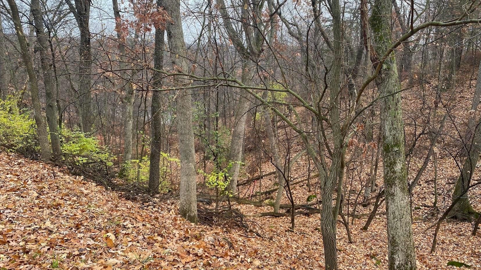 L27-29 Hillside Drive, Lake Delton, WI 53965