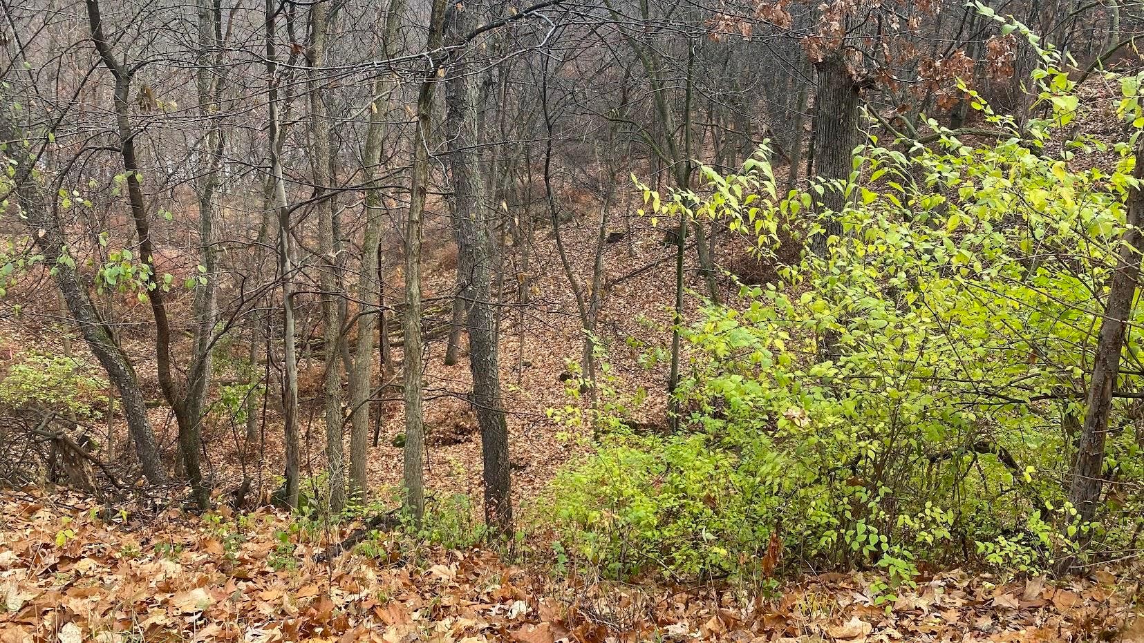 L27-29 Hillside Drive, Lake Delton, WI 53965