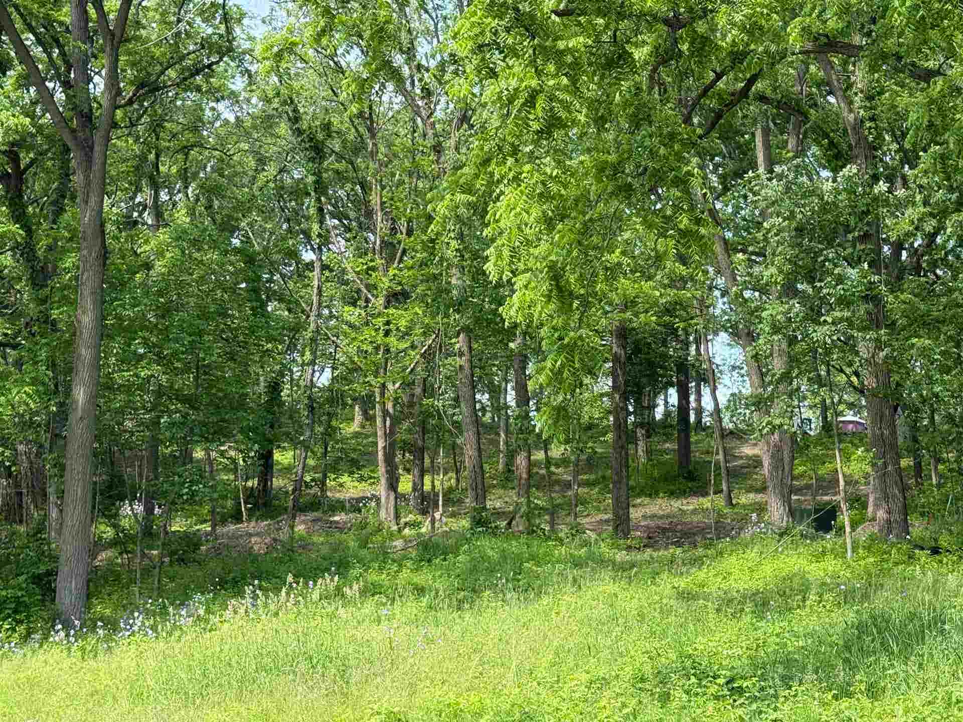 225 Whitetail Lane, #28, Deerfield, WI 53531