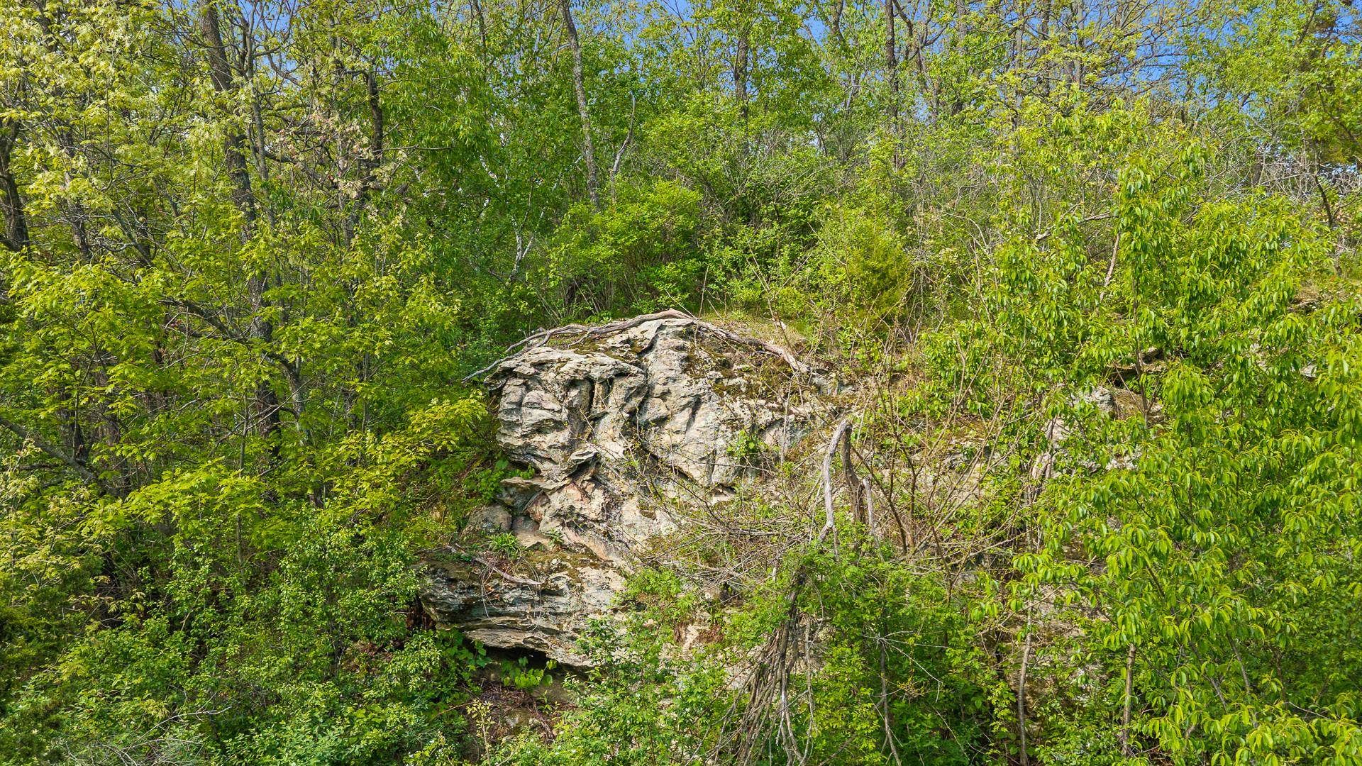 19.37 Acres Greenwald Road, Vermont, WI 53572-1021