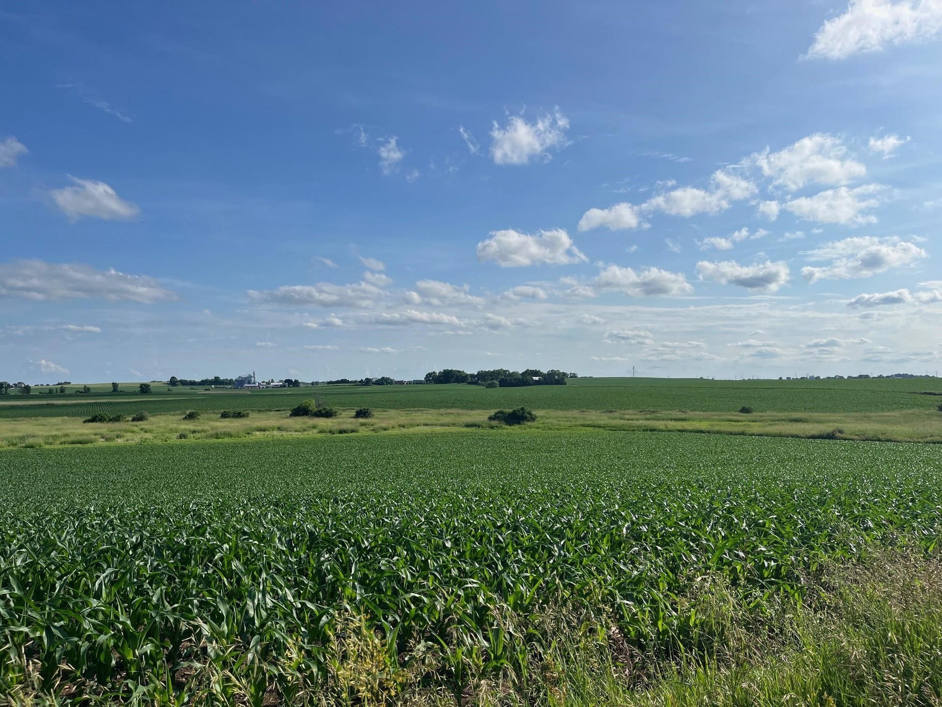 4923 Meek Road, Vienna, WI 53911