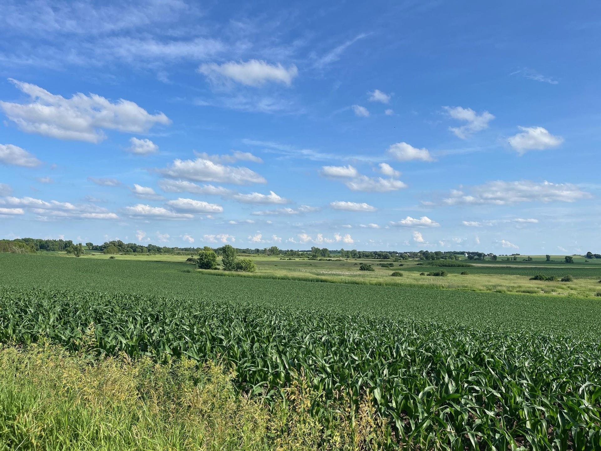 4923 Meek Road, Vienna, WI 53911
