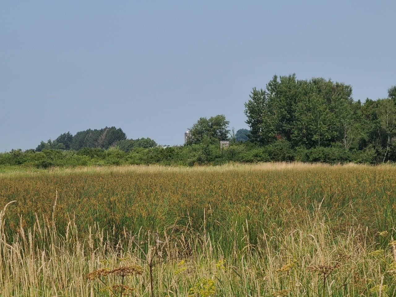 4923 Meek Road, Vienna, WI 53911