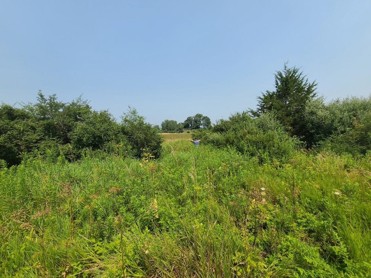 4923 Meek Road, Vienna, WI 53911