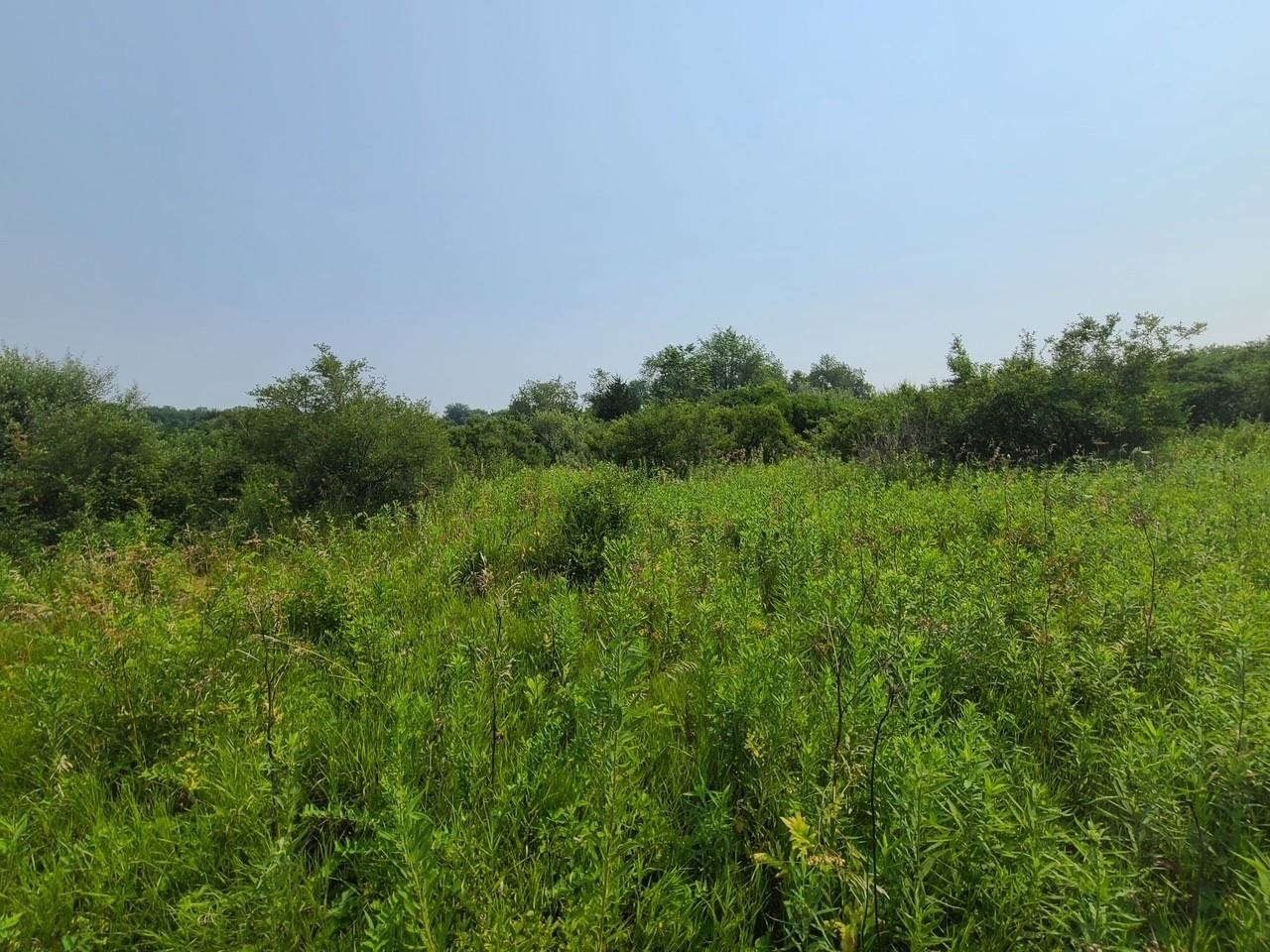 4923 Meek Road, Vienna, WI 53911