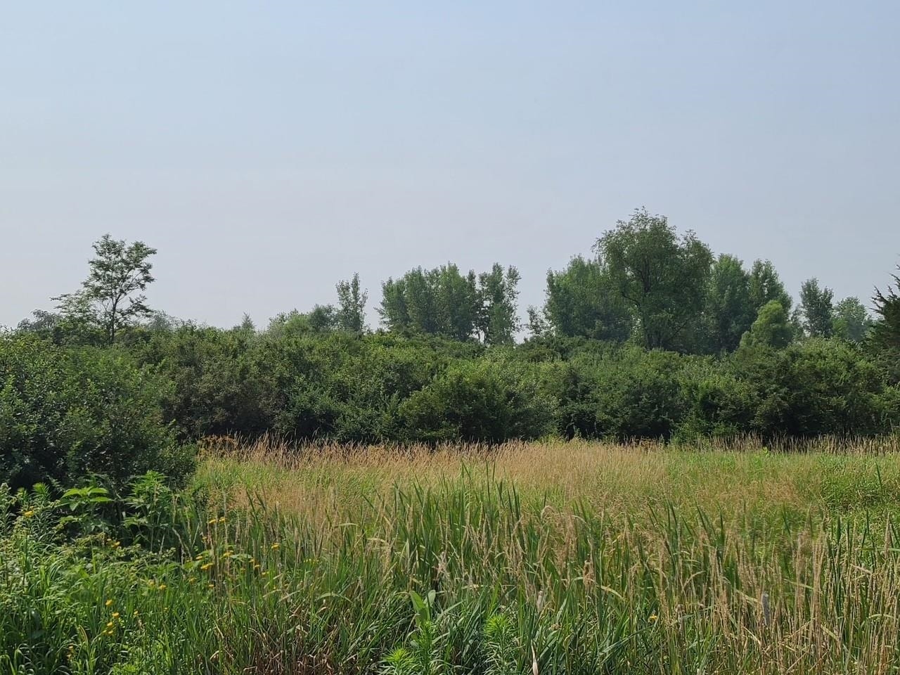 4923 Meek Road, Vienna, WI 53911