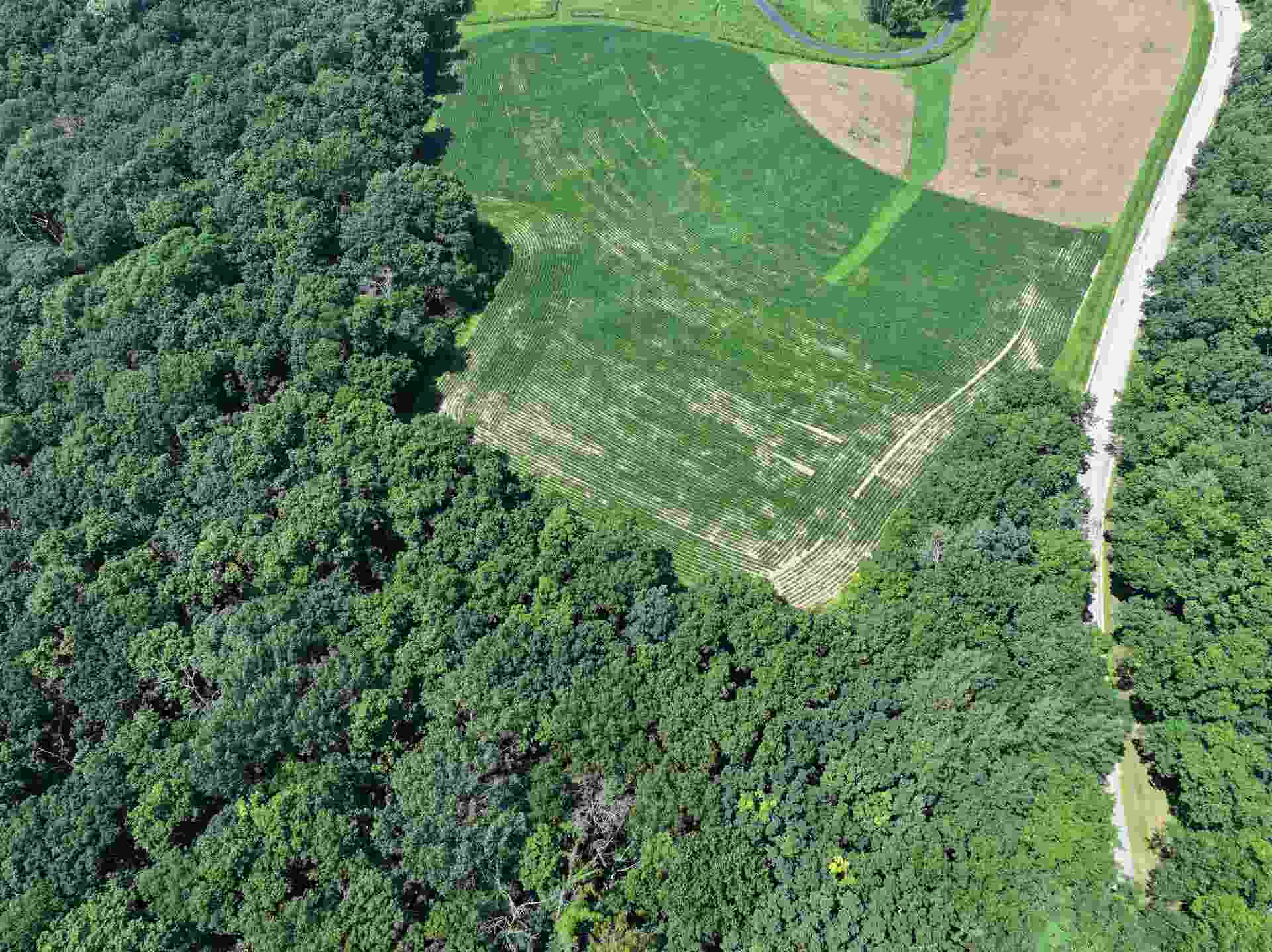 21.99 Observatory Road, Cross Plains, WI 53528