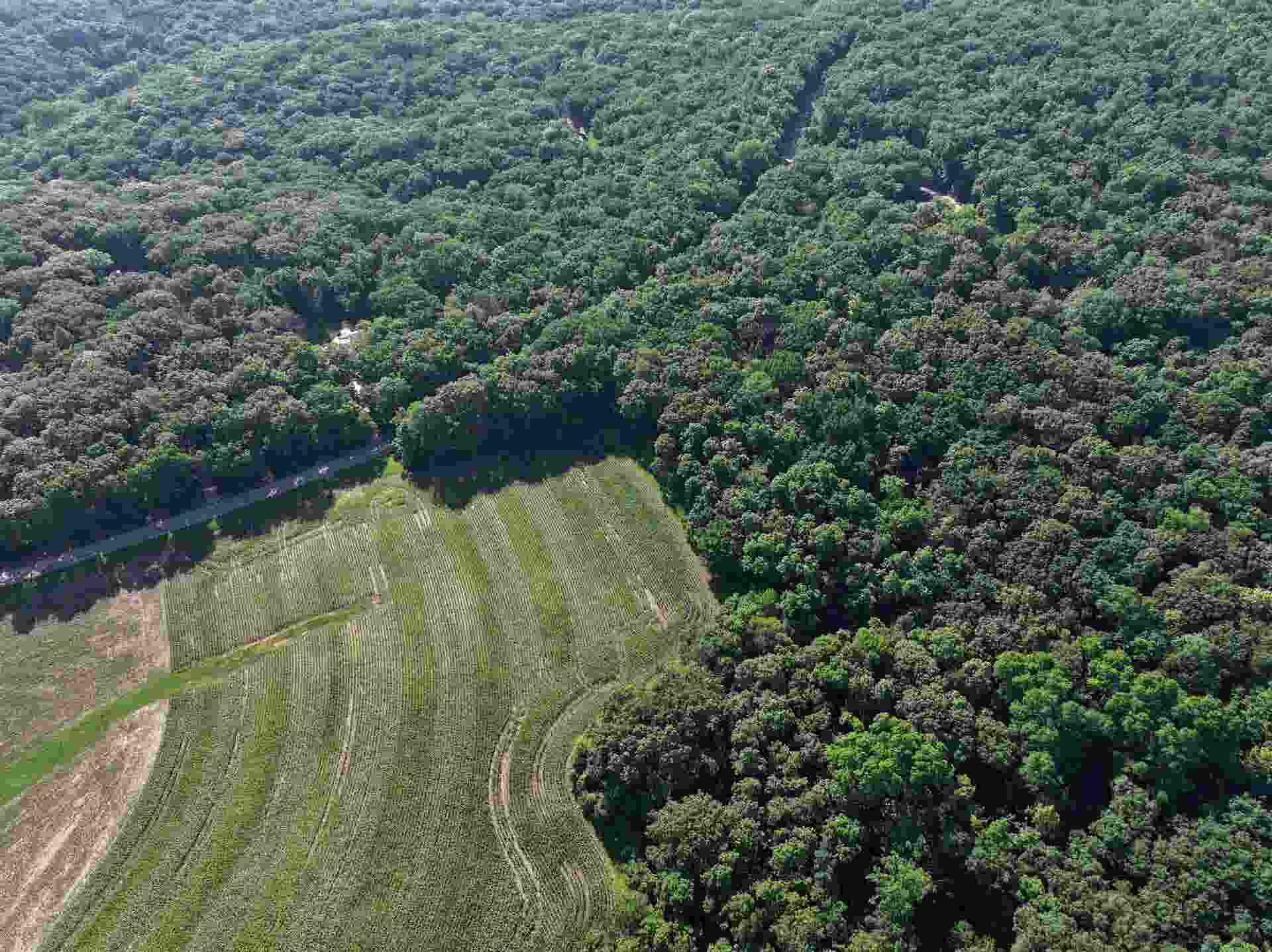 21.99 Observatory Road, Cross Plains, WI 53528
