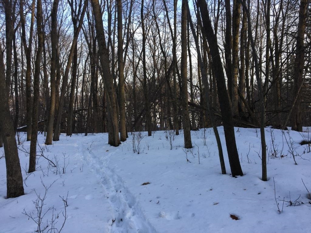 W2186 Eric Road, Green Lake, WI 53946