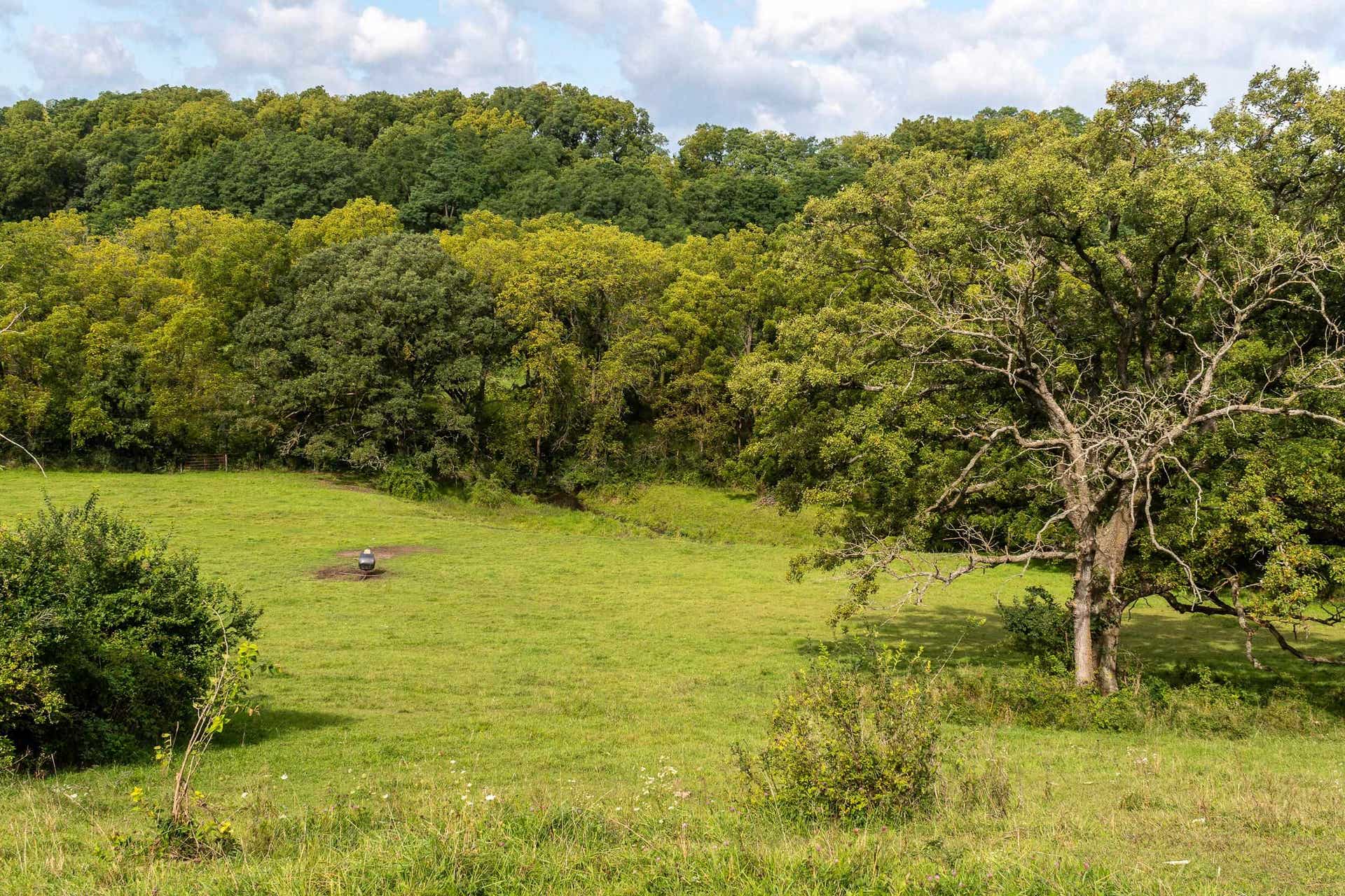 2542 County Road P, Springdale, WI 53593