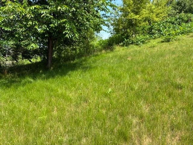 2056 Handel Street, Black Earth, WI 53515