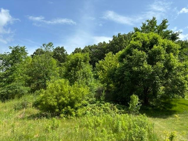 2056 Handel Street, Black Earth, WI 53515
