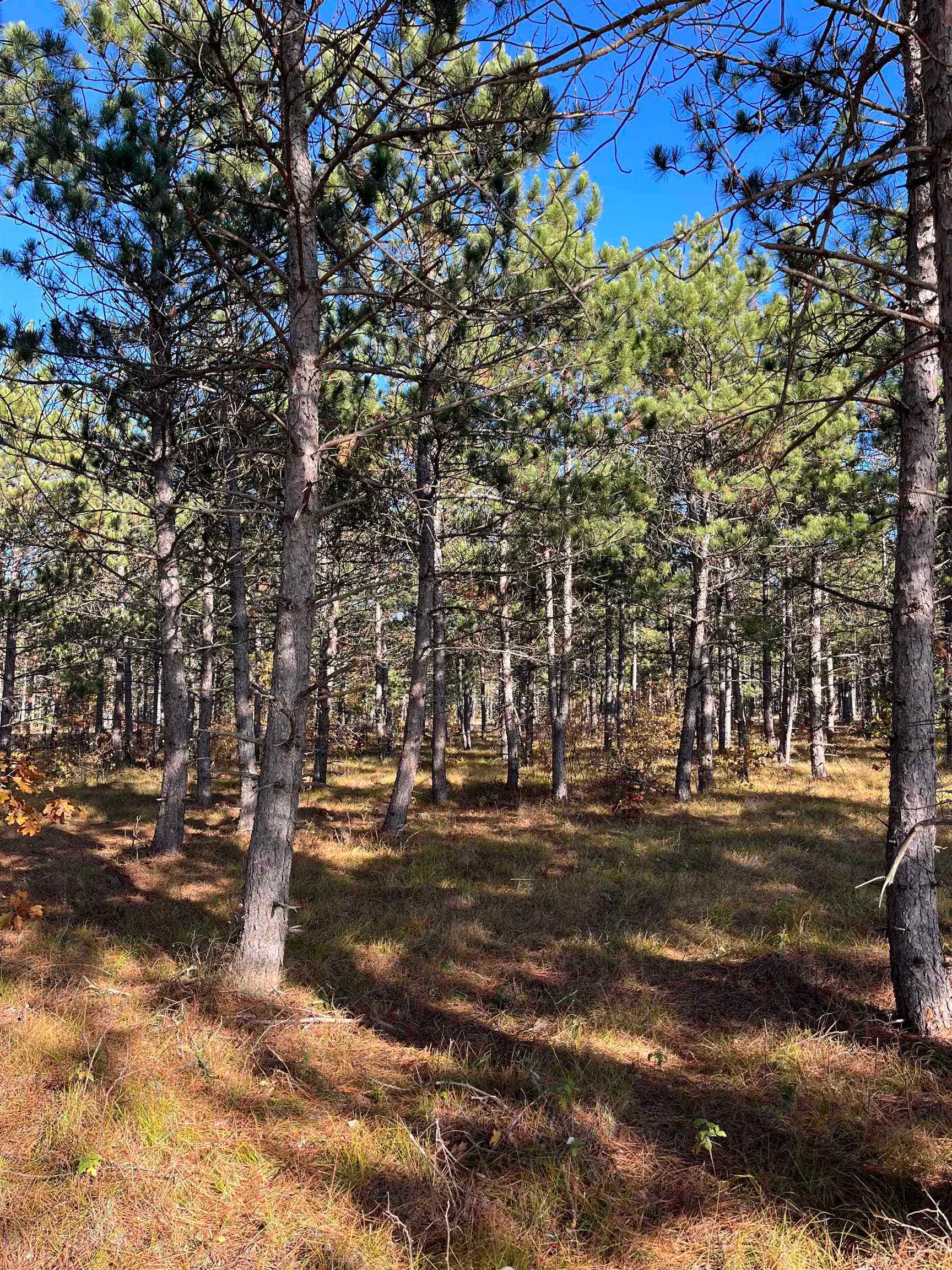 Lot 4 Luna Lane, Rome, WI 54457