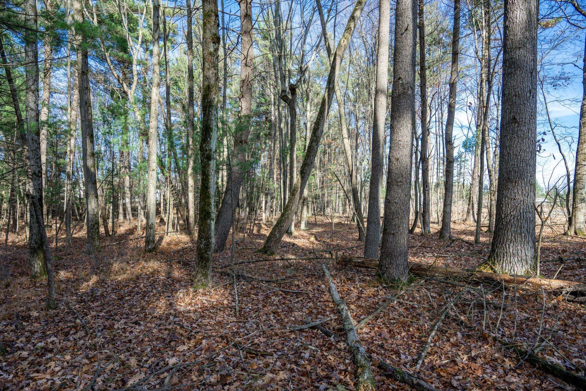430 W Munroe Avenue, Lake Delton, WI 53965
