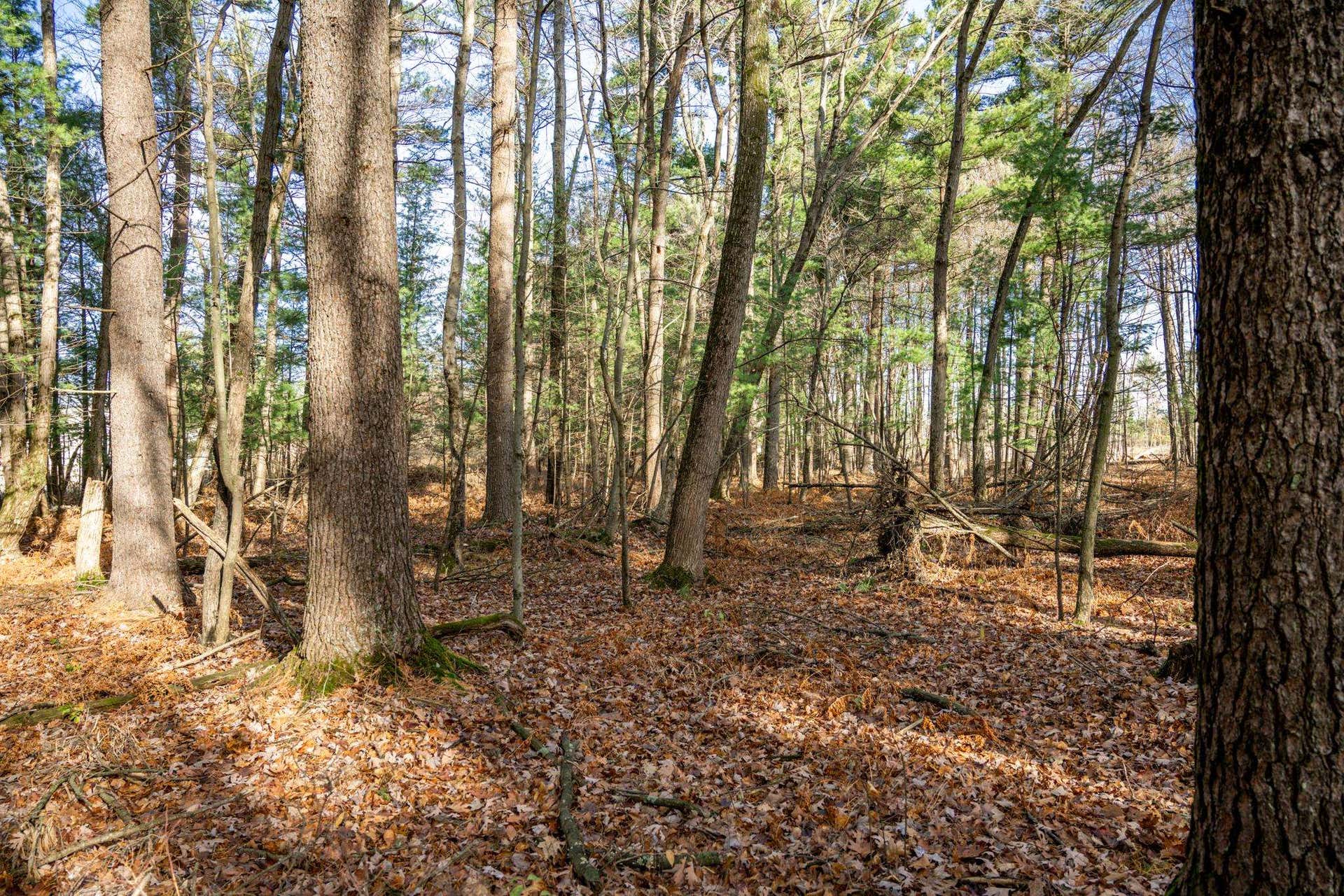 430 W Munroe Avenue, Lake Delton, WI 53965
