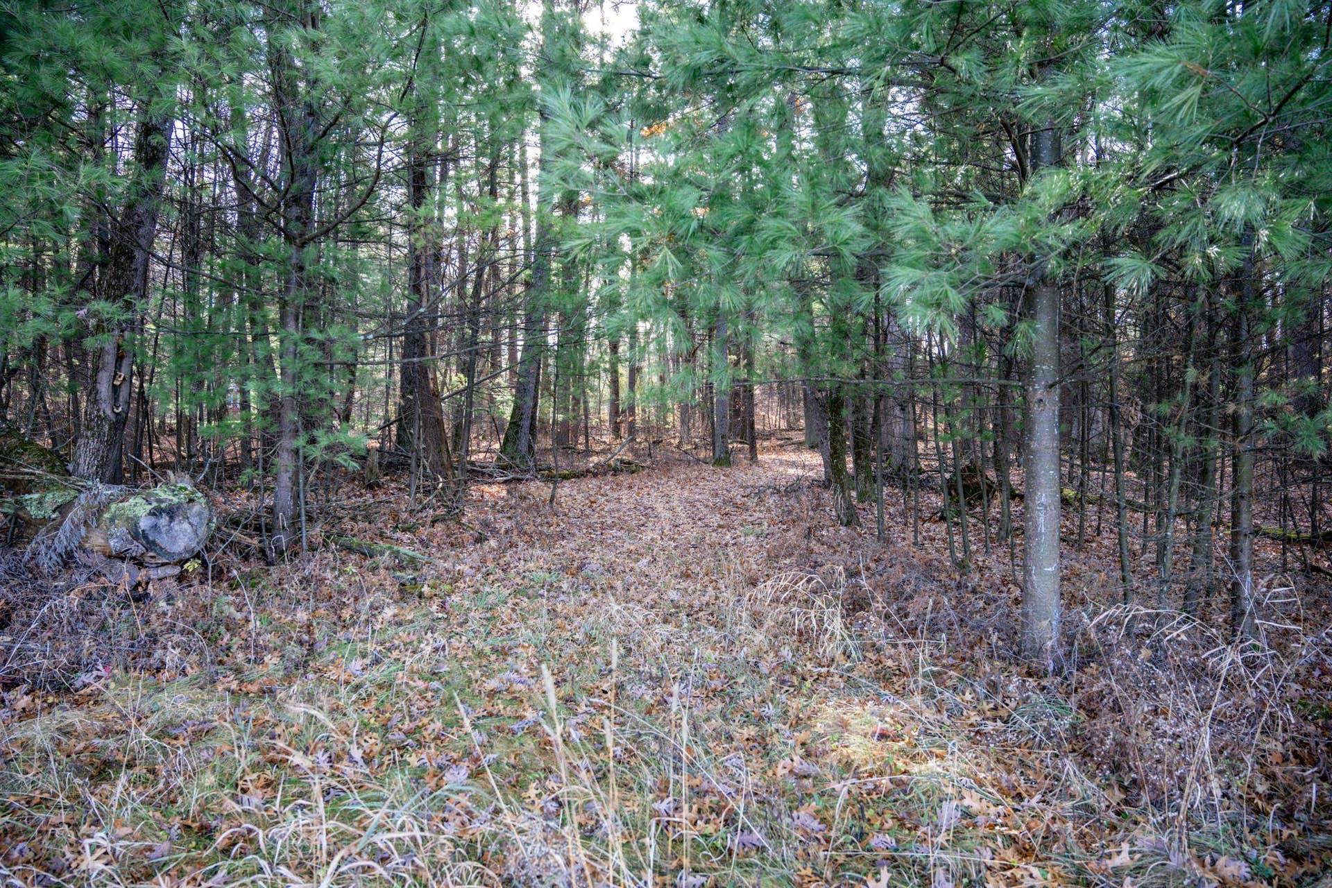 430 W Munroe Avenue, Lake Delton, WI 53965